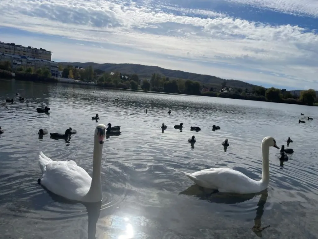 Квартира Квартира Евродвушка Совушка на Лебедином озере — Горячий Ключ
