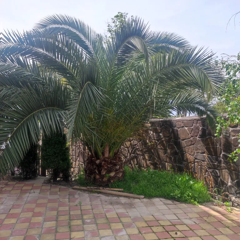 Коттедж Домик у моря — Сочи