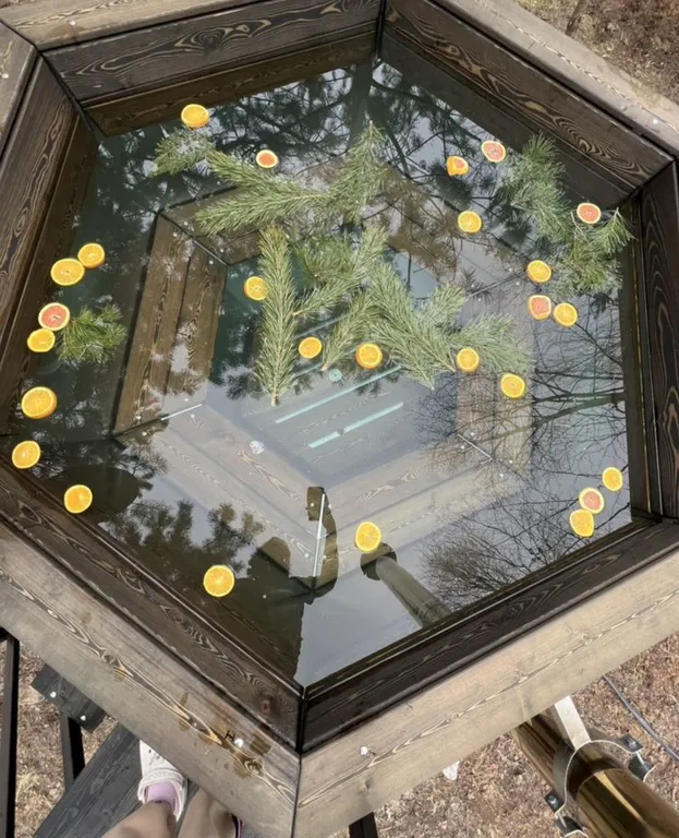 Домик в сосновом лесу с банным чаном