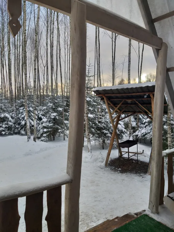 Авторский домик  В ЛЕСУ - "ШалаШик"