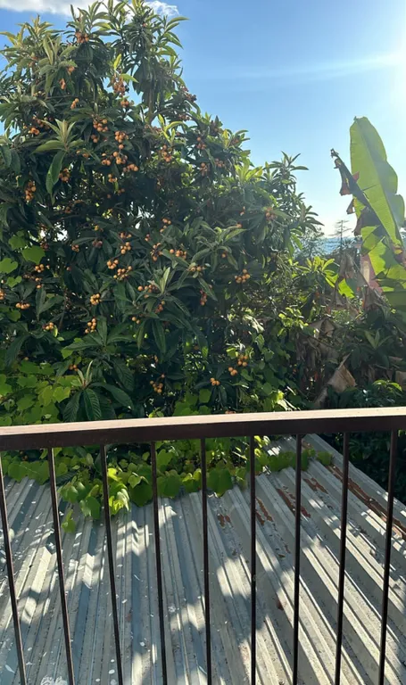 Квартира Комната — Гагра