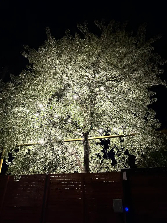 Треугольный дом A-фрейм с панорамными окнами Космос