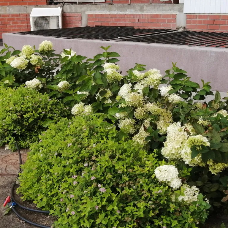 Квартира рядом с центром, удобно доехать от вокзала и аэропорта, рядом с госпиталем