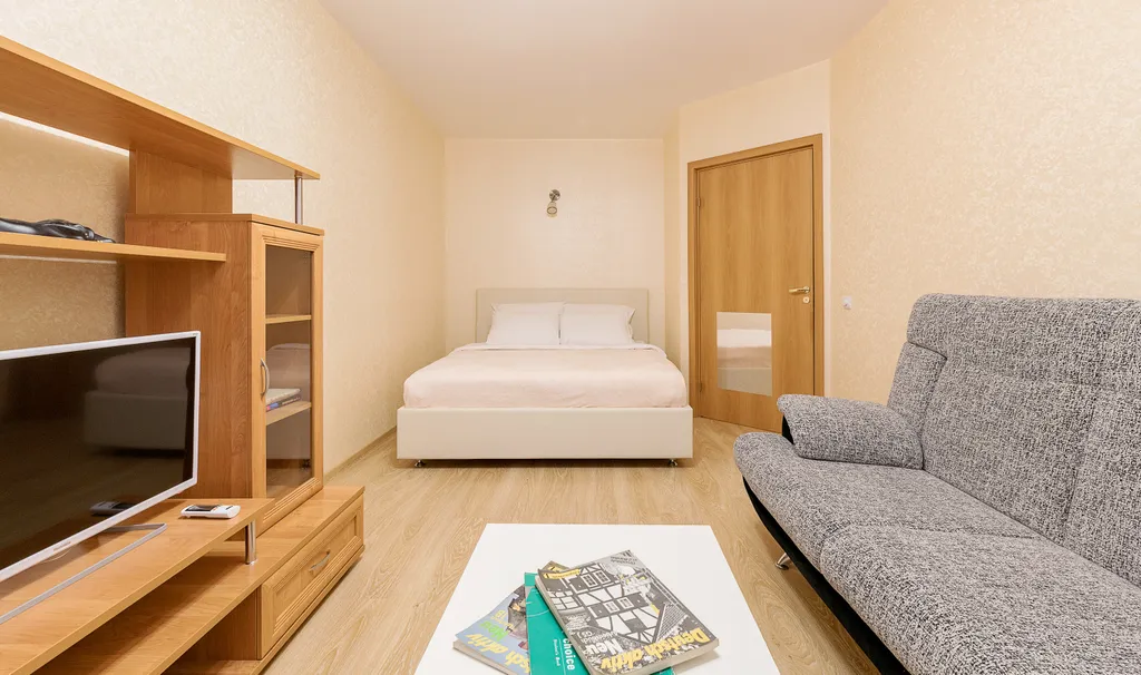 Однокомнатная квартира у метро Парнас