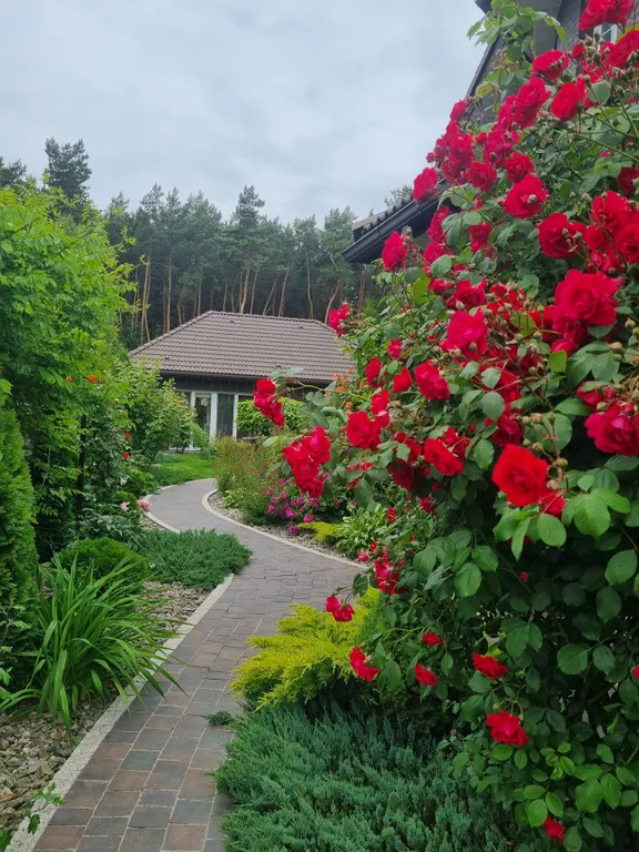 Brest dream garden. Атмосферный гестхаус с шикарным видом на лес