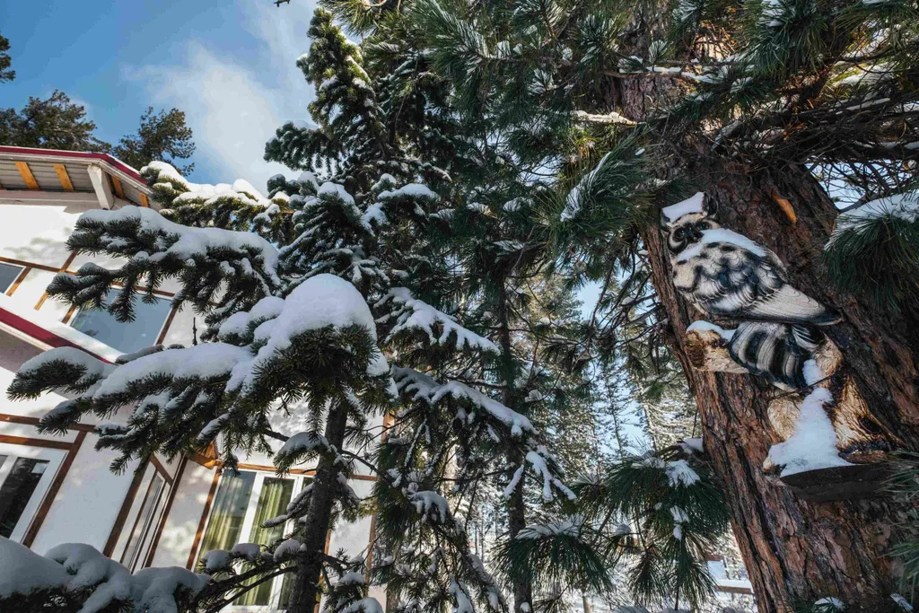 Коттедж Гостевой двор "Дом в кедрах" — Шерегеш