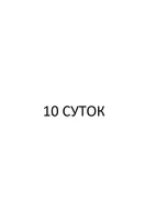 10Суток