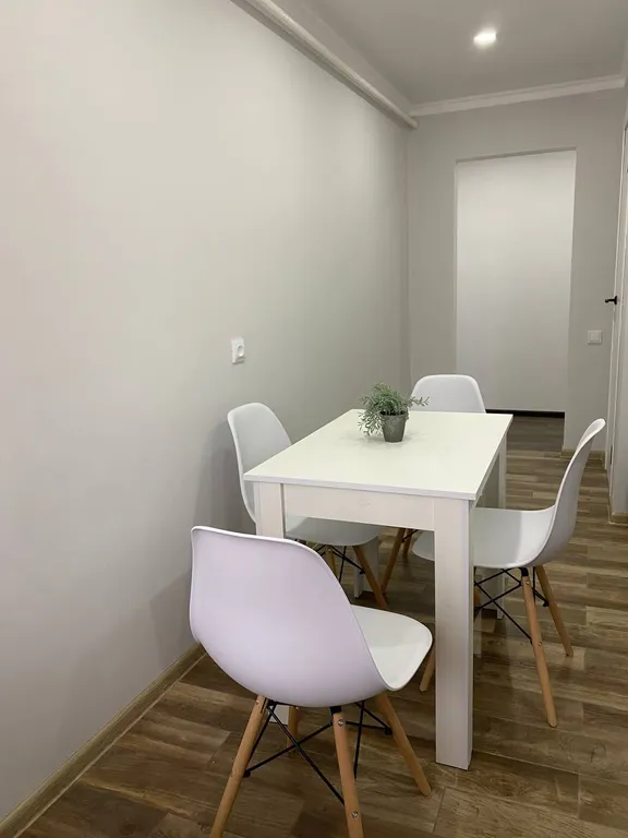 Новые аппартаменты на Пушкина