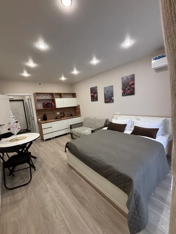 Студия с видом на гору