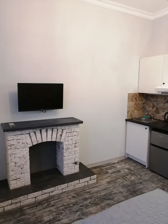 Уютная студия в самом центре города