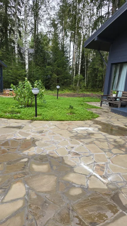 Проснуться в лесу