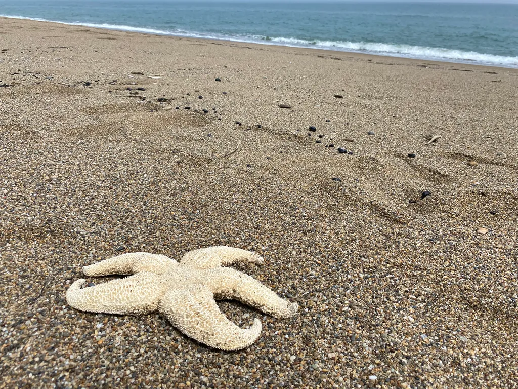 Уютная 2-комнатная квартира в самом сердце города