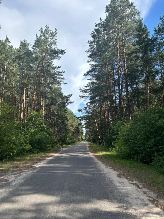 Солнечный домик в беловежской пуще без соседей, баня, озера, экскурсии