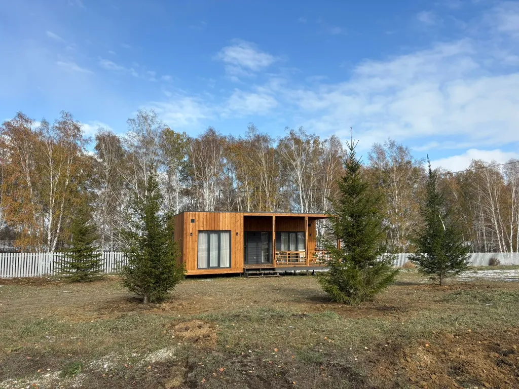 Дом с видом на березовый лес