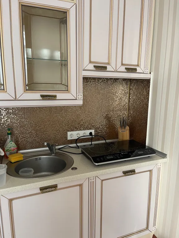 Элитные апартаменты Дача Доктора Штейнгольца