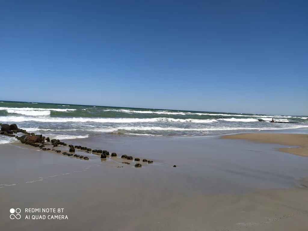 Квартира Уютная квартира с видом на лес — Светлогорск