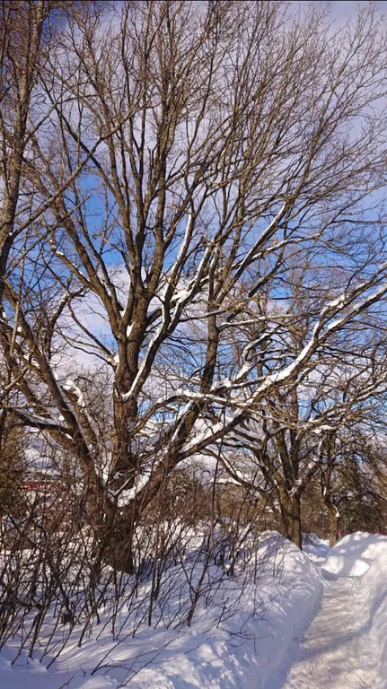 Коттедж Дом в заповедной зоне рядом с озерами — Мышецкое