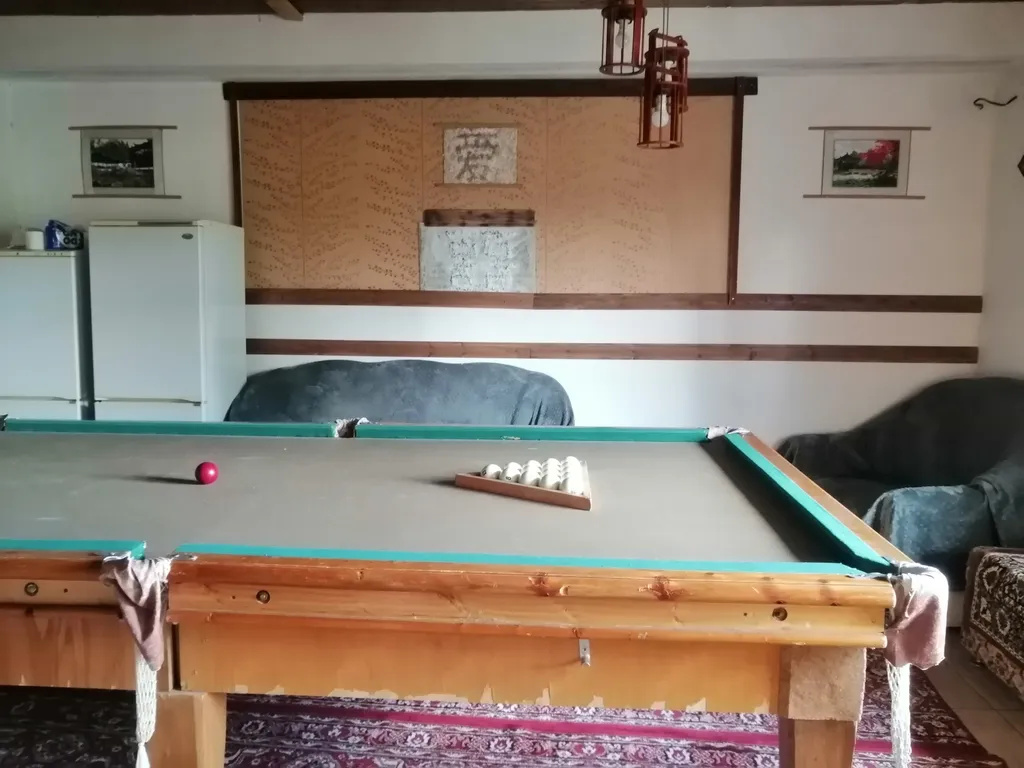 Дом с баней, бильярдом и бассейном