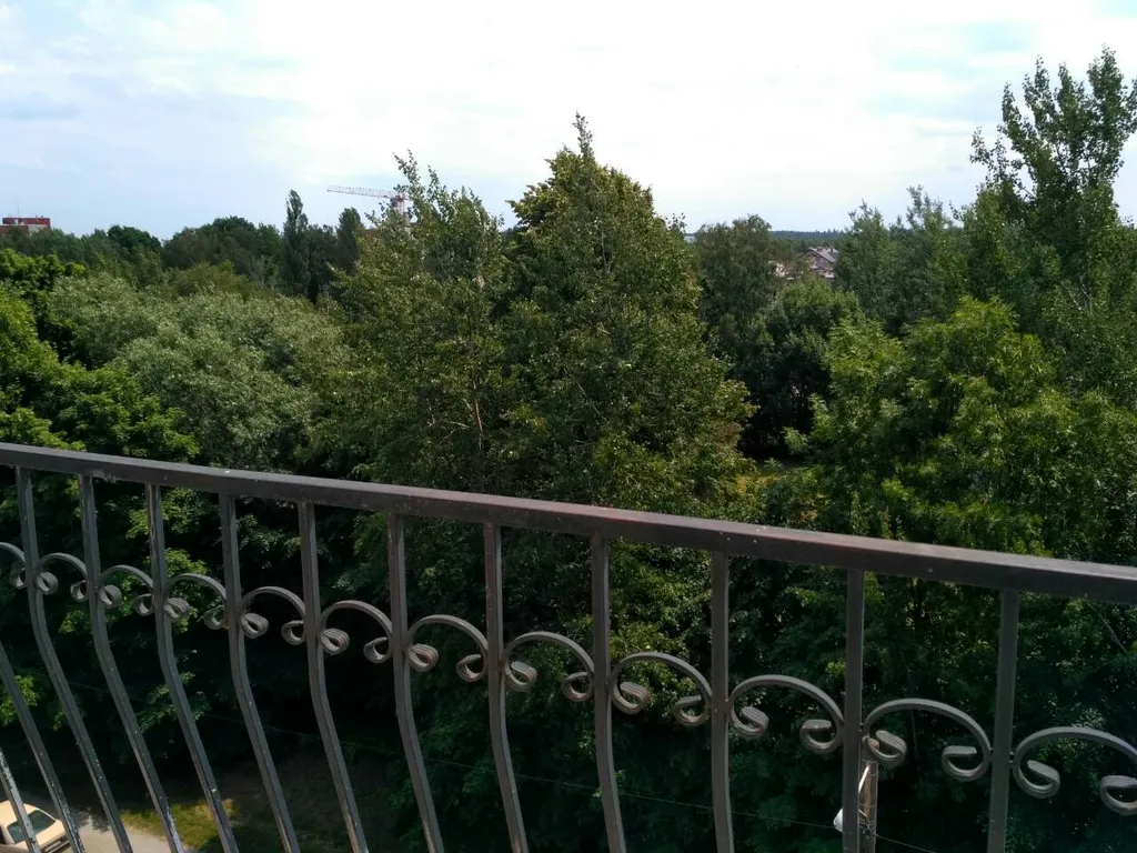 Квартира Апартаменты Комфорт — Светлогорск