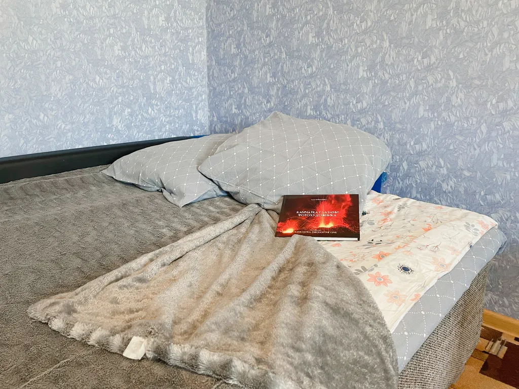 Чистая тёплая квартира — аренда посуточно в Петропавловск-Камчатский