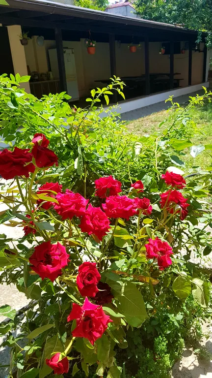 Уютная двухместная комната