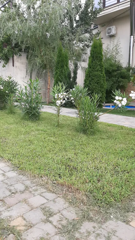 Сруб у моря