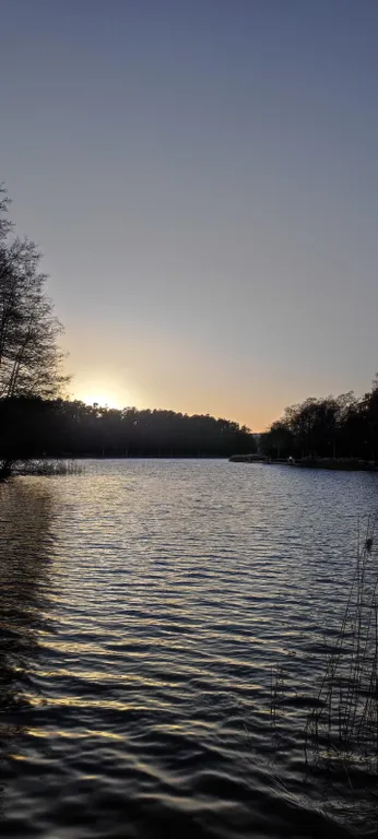 Квартира Уютная новая квартира у озера — Светлогорск