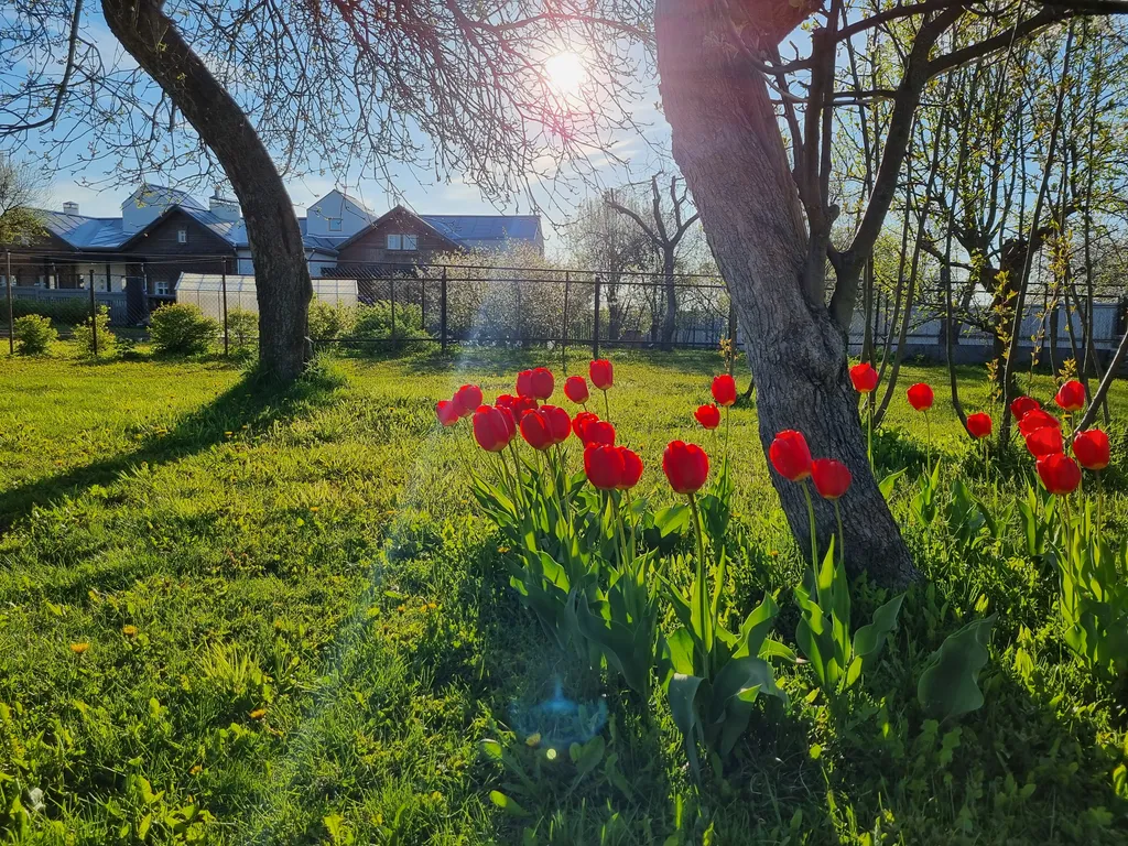 Дом, уютное место в центре города