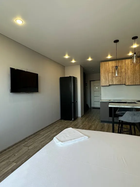 Уютная студия в центре города