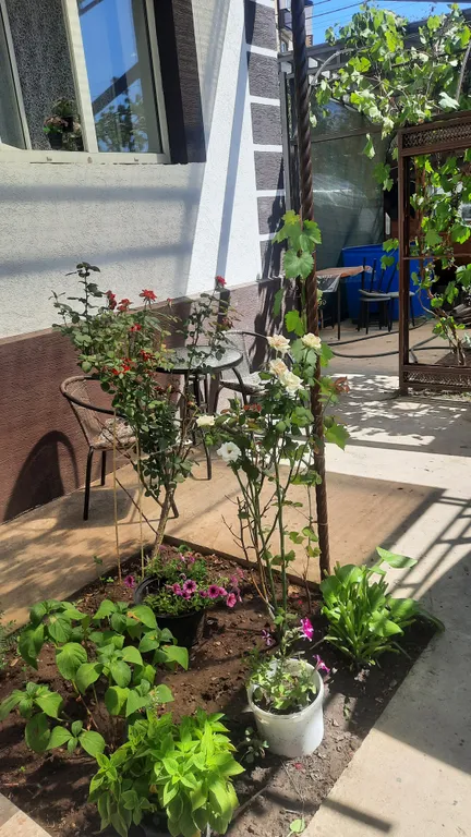 Квартира Уютная квартира в центре города со своим двориком и мангальной зоной — Горячий Ключ