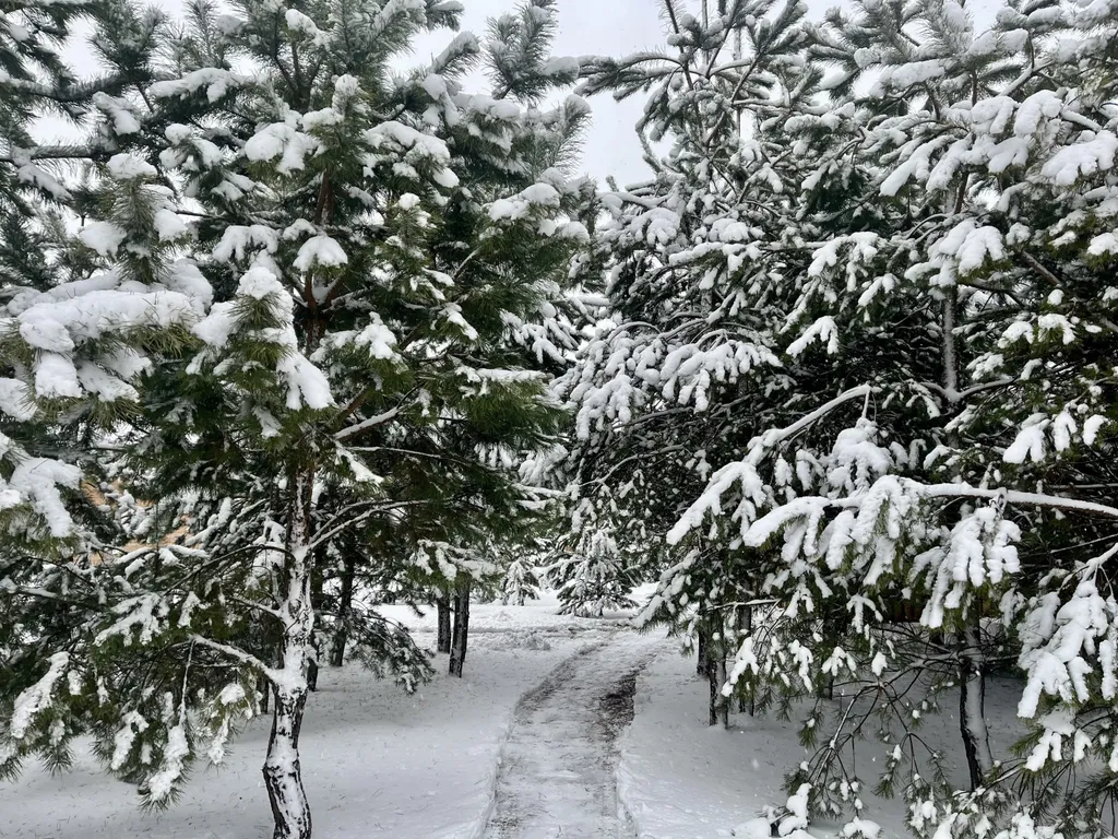 Уютный коттедж в лесу у пруда