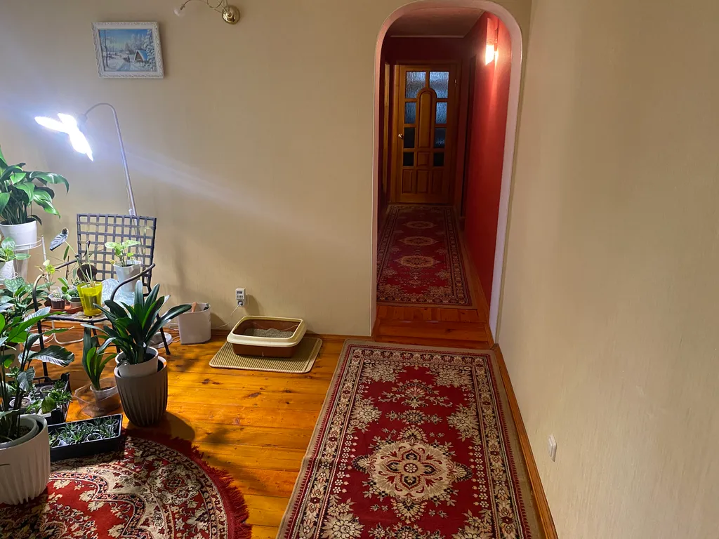 Дом среди сосен