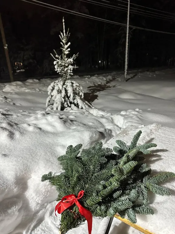 Квартира Семейный апартамент с 2 спальнями и кухней-гостиной — Мичуринское