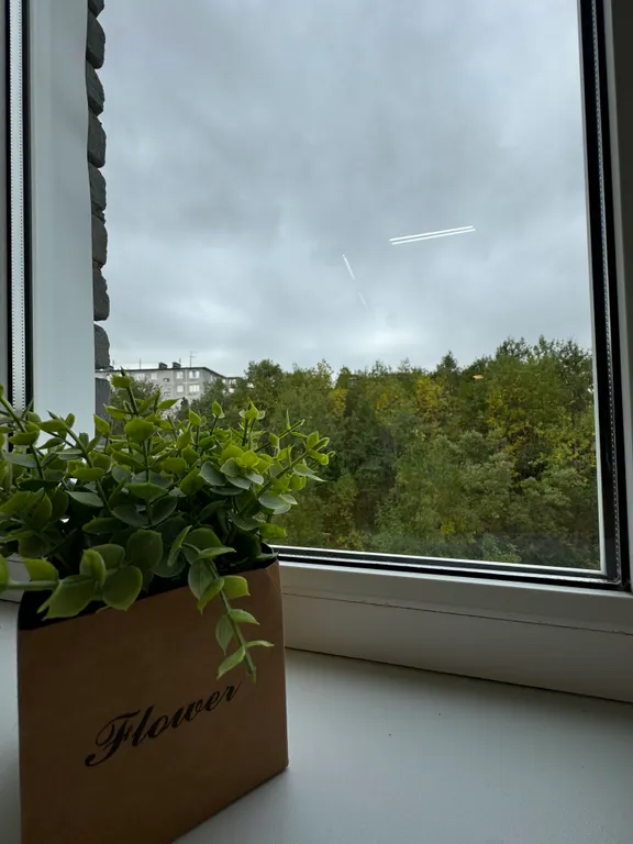 Квартира с шикарным видом на горы