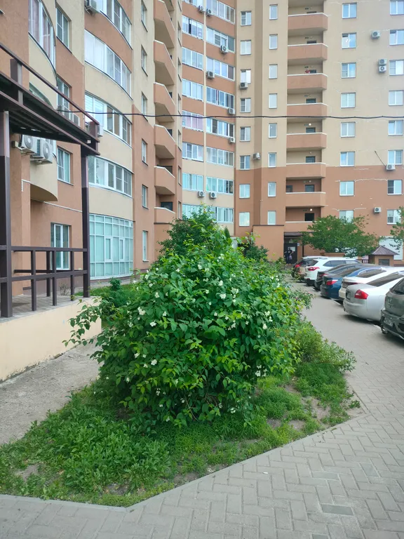 Уютная квартира в центре левого берега