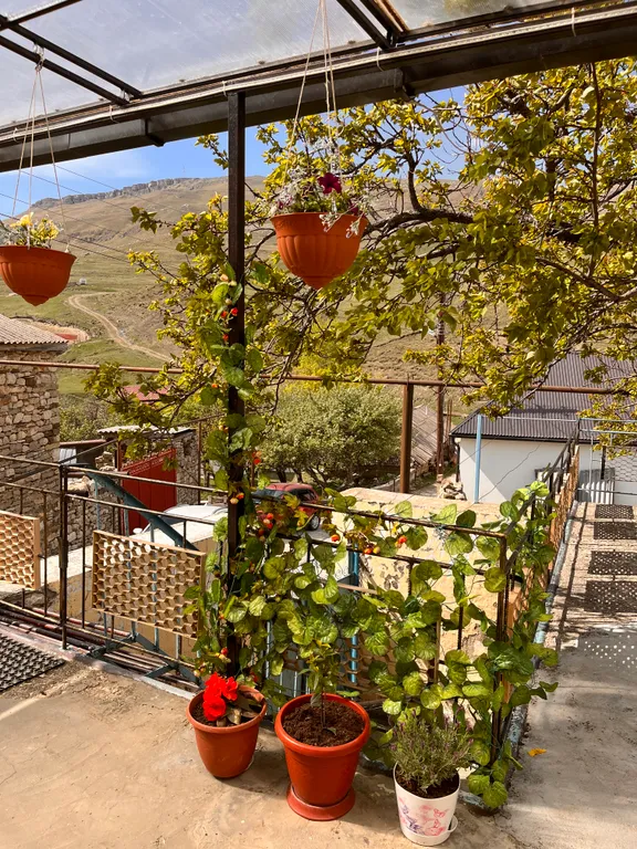 Апартаменты с видом на горы