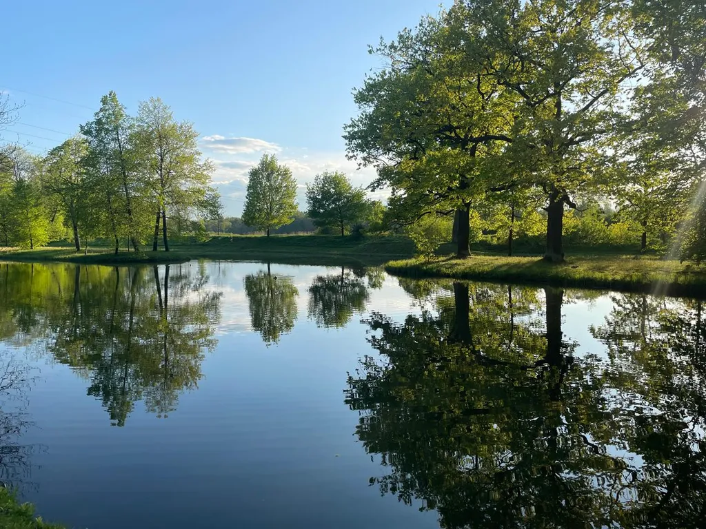 Уютный дом с дровяной баней и камином у Петергофа.