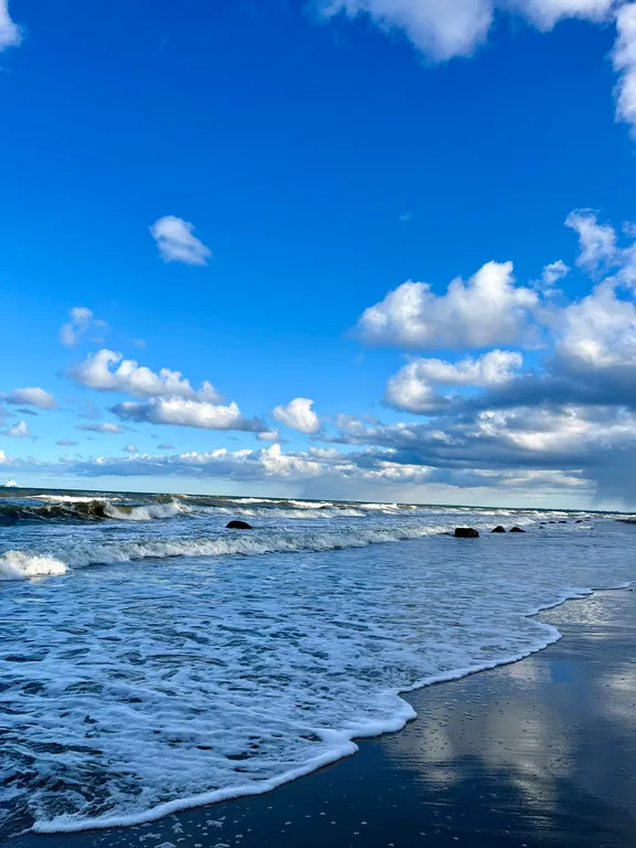 Квартира Квартира Двухкомнатный апартамент с видом на озеро Тихое — Светлогорск