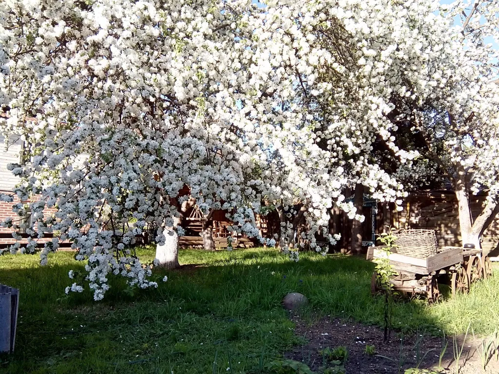 Апартамент в Усадьбе Малышева М.М