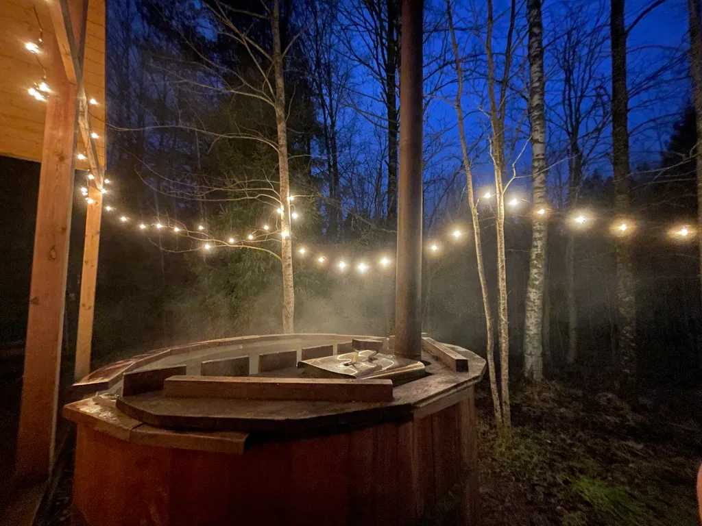 Уютный дом с купелью и камином Лесное Вдохновение