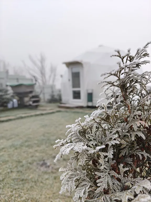 Уютный геокупол