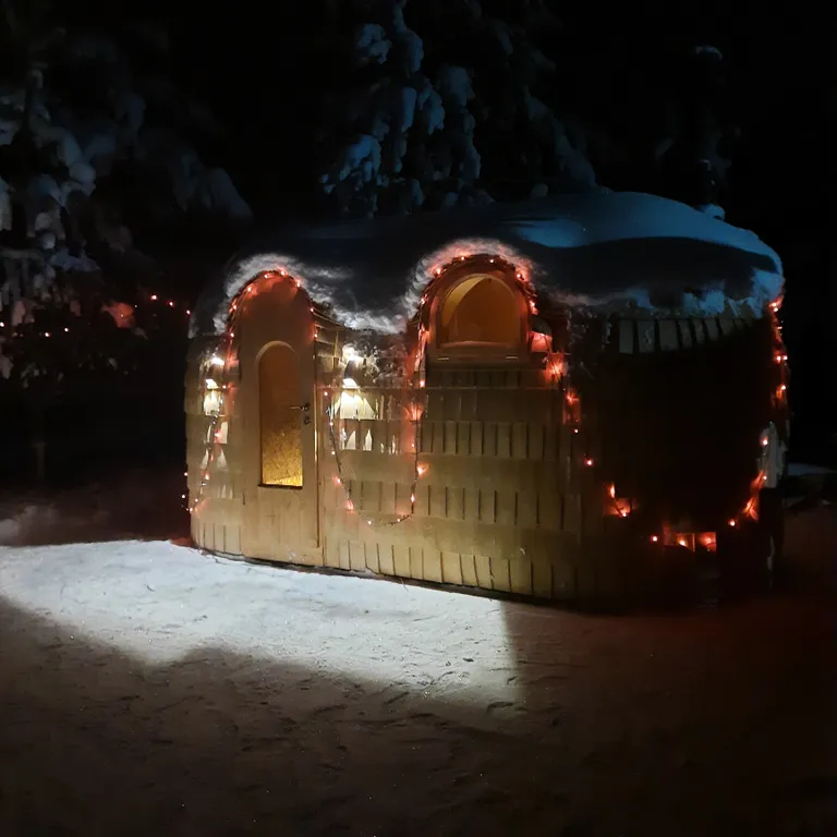 Коттедж Домик под соснами в Свирском — Лодейное Поле