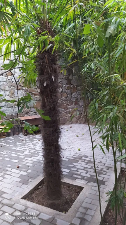 Коттедж Уютный Домик в центре города. — Ялта