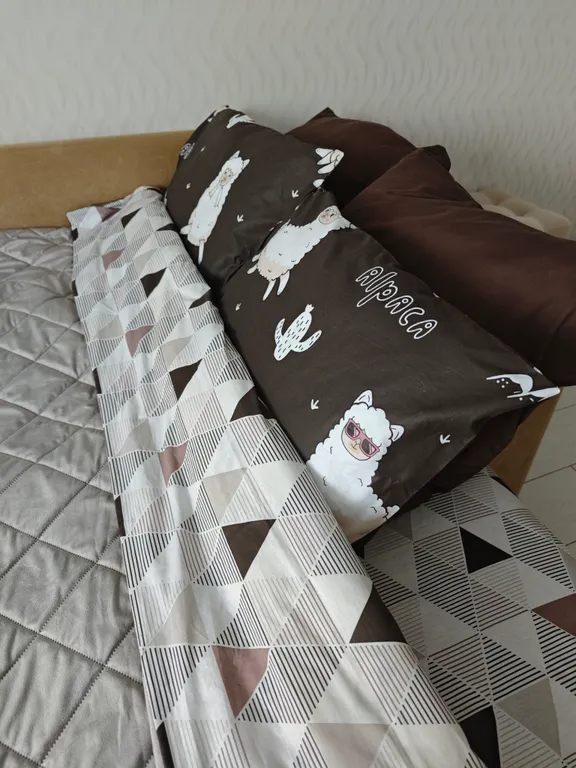 Атмосферная квартира у Глобуса на Зелёной