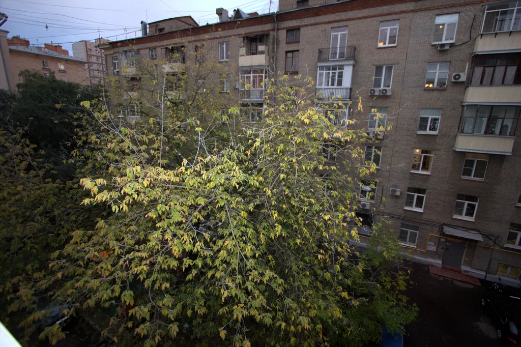 ЛюксКвартира: Современный Уют на Маяковской