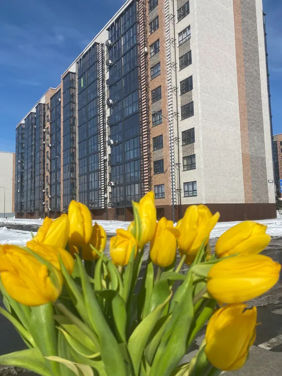 Квартира в ЖК Предгорье-Лагонаки в 10 минутах от всех терм и источников