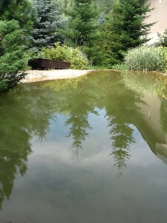 Дзен дача и дом йоги