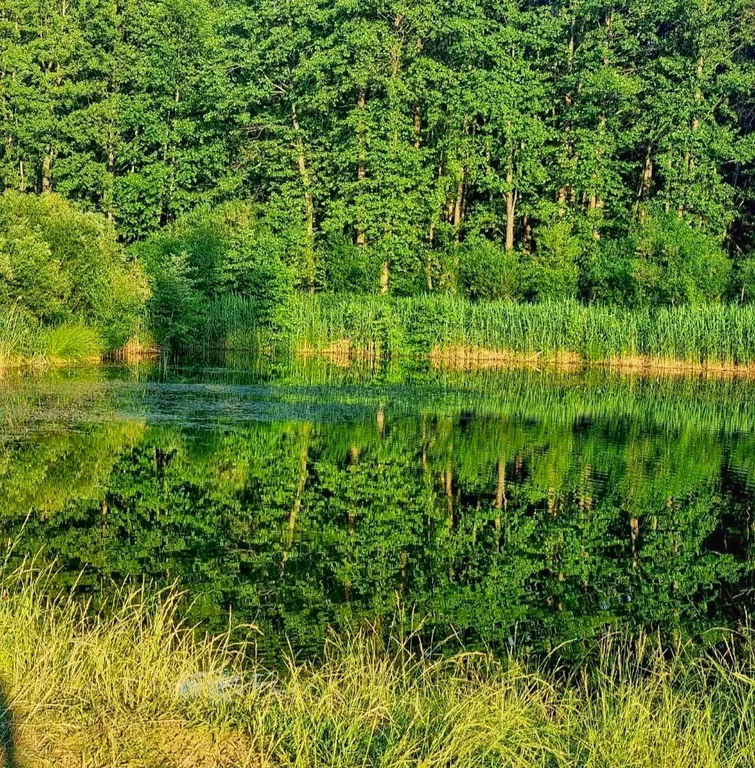 Загородный дом в живописном месте