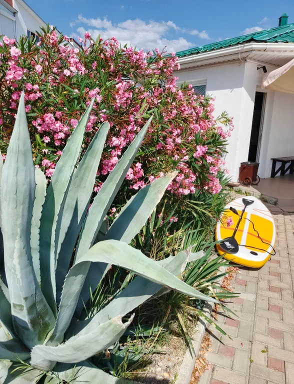 Таунхаус на берегу моря