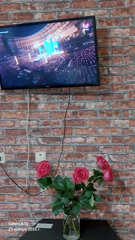 Mr Тигрович в центральном центре